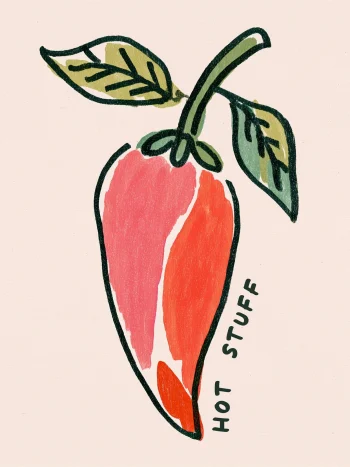 Csili paprika illusztráció falikép