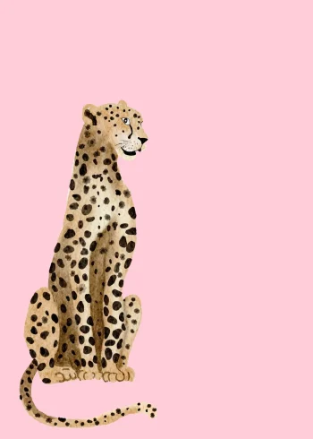 Gepárd pink háttéren falikép