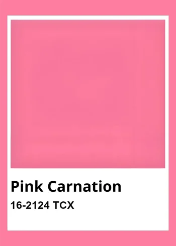 Pink Carnation rózsaszín színminta falikép