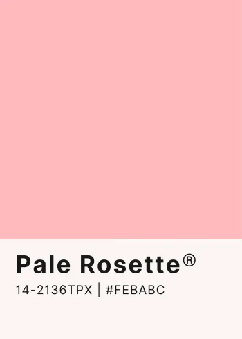 Pale Rosette rózsaszín színminta falikép